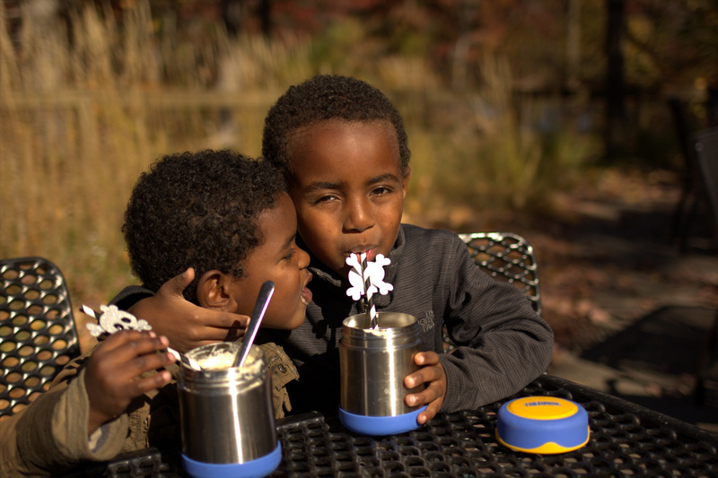 Homemade Root Beer