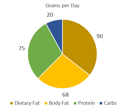 Lipolysis