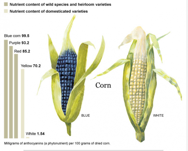 corn soup, low carb corn soup