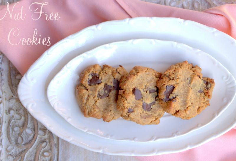 Nut free cookies weight loss, weight watcher, paleo, and diabetic recipes