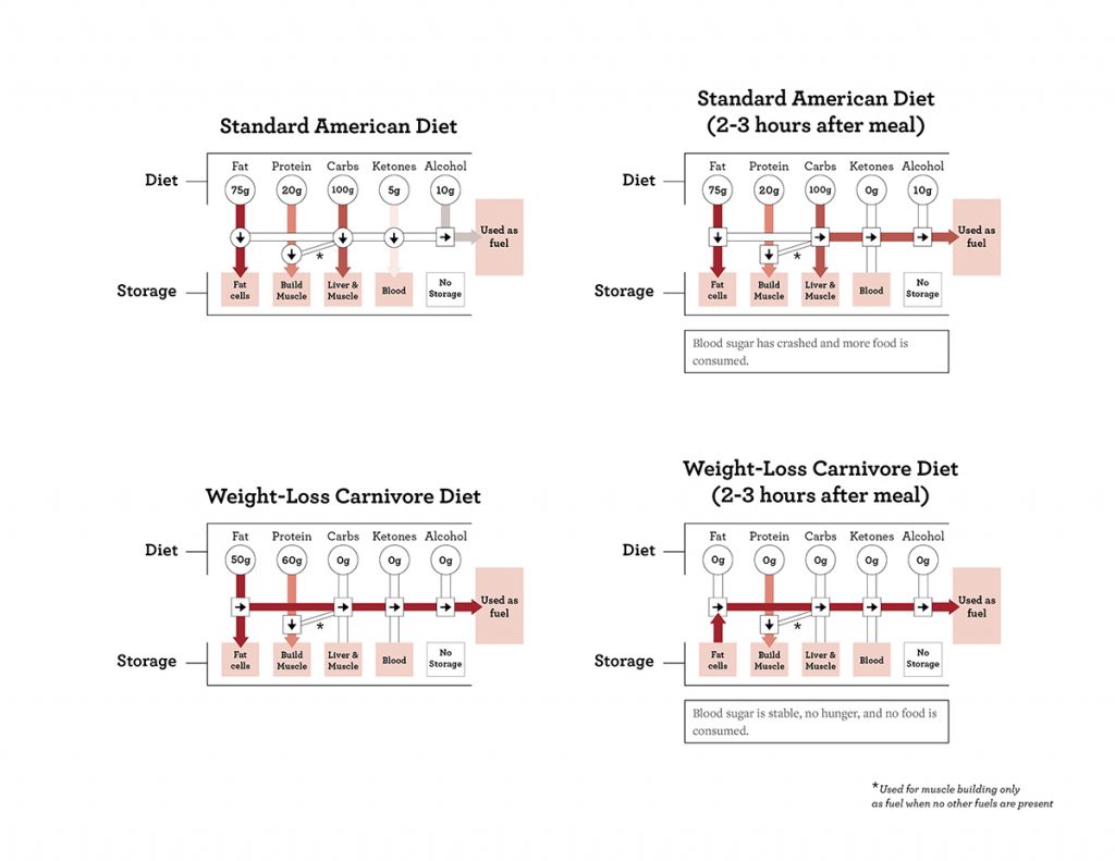 The Carnivore Cookbook Fuel Chart Maria Mind Body Health